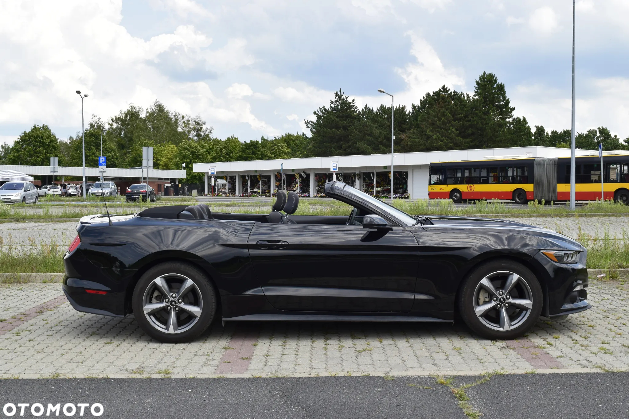 Ford Mustang 3.7 V6 - 6