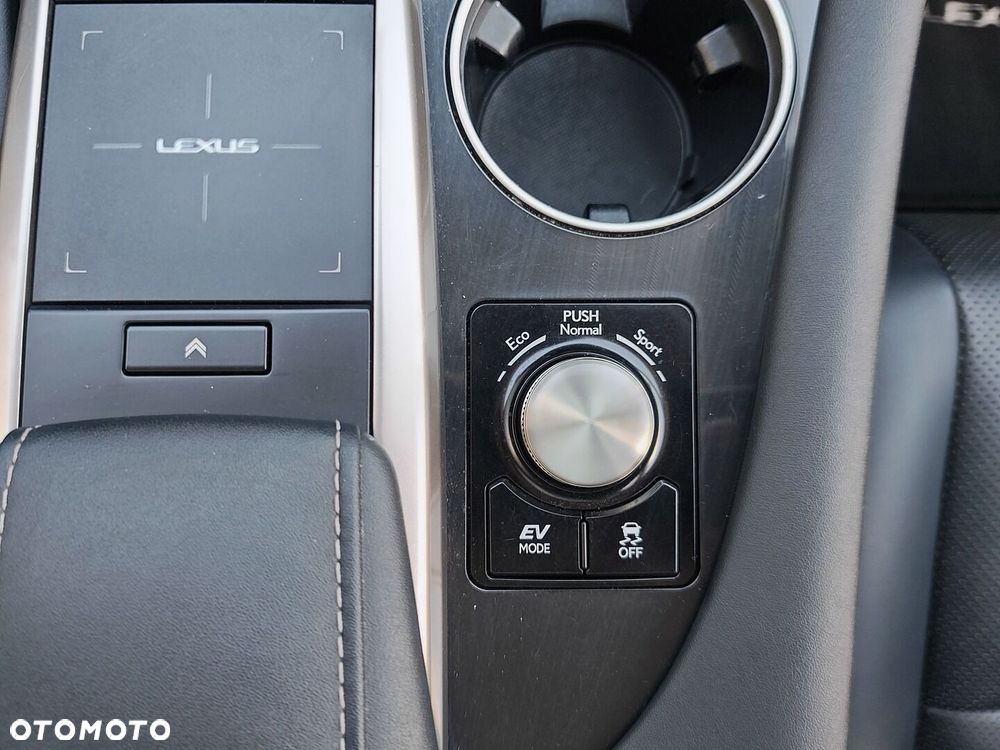 Lexus RX - 18