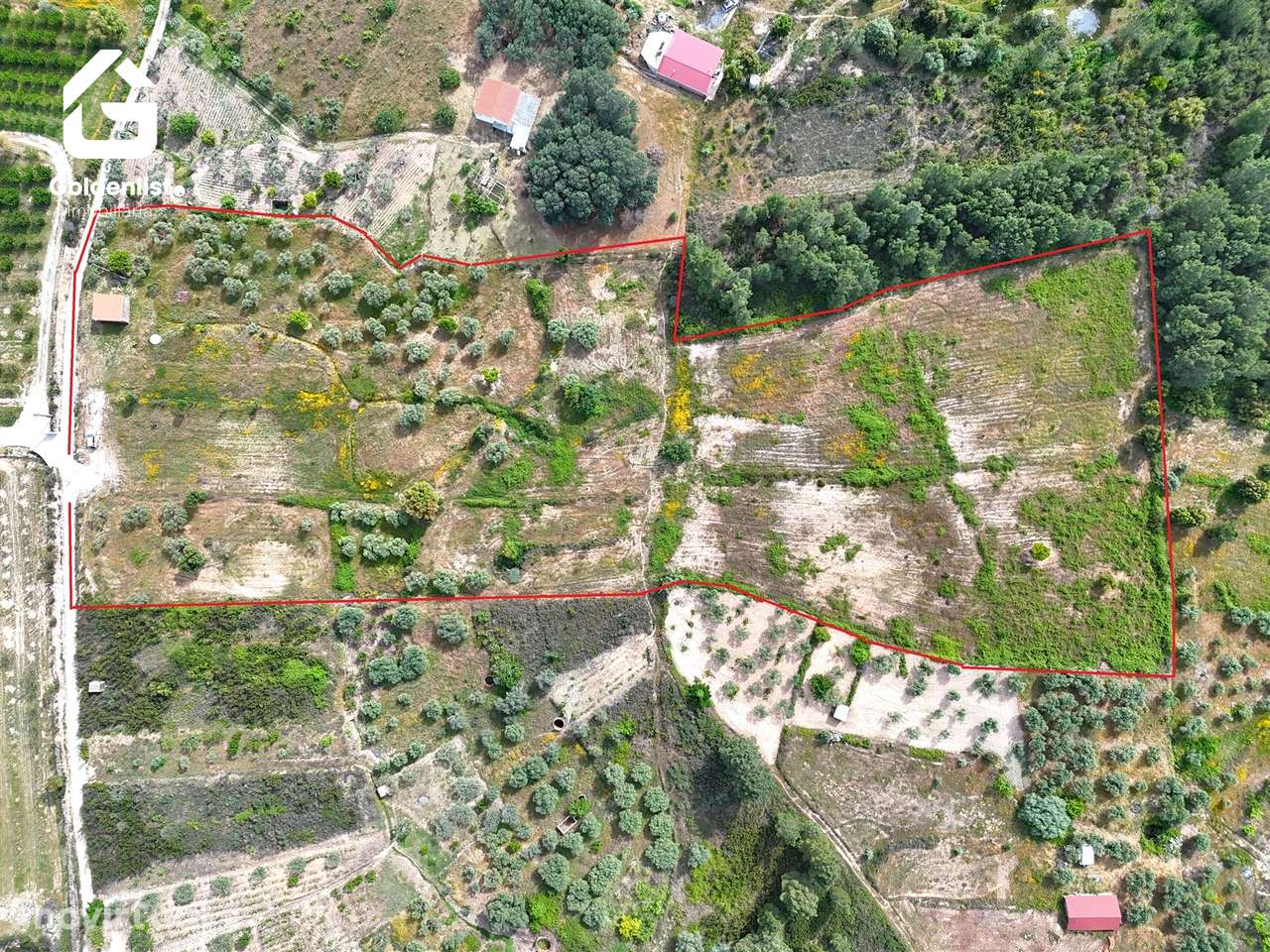 Quintinha T0 Venda em Vale de Prazeres e Mata da Rainha,Fundão - Grande imagem: 3/32