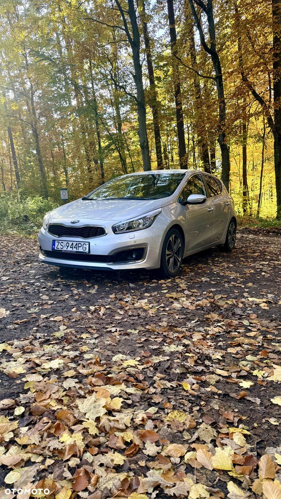 Kia Ceed - 22