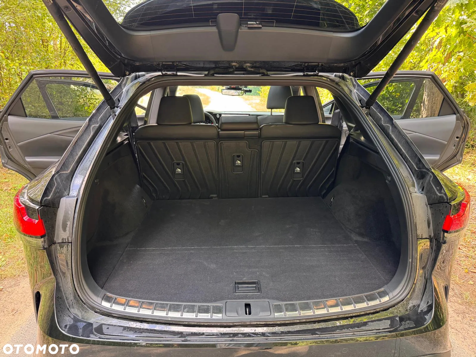 Lexus RX 350h (hybrid) Business - 19