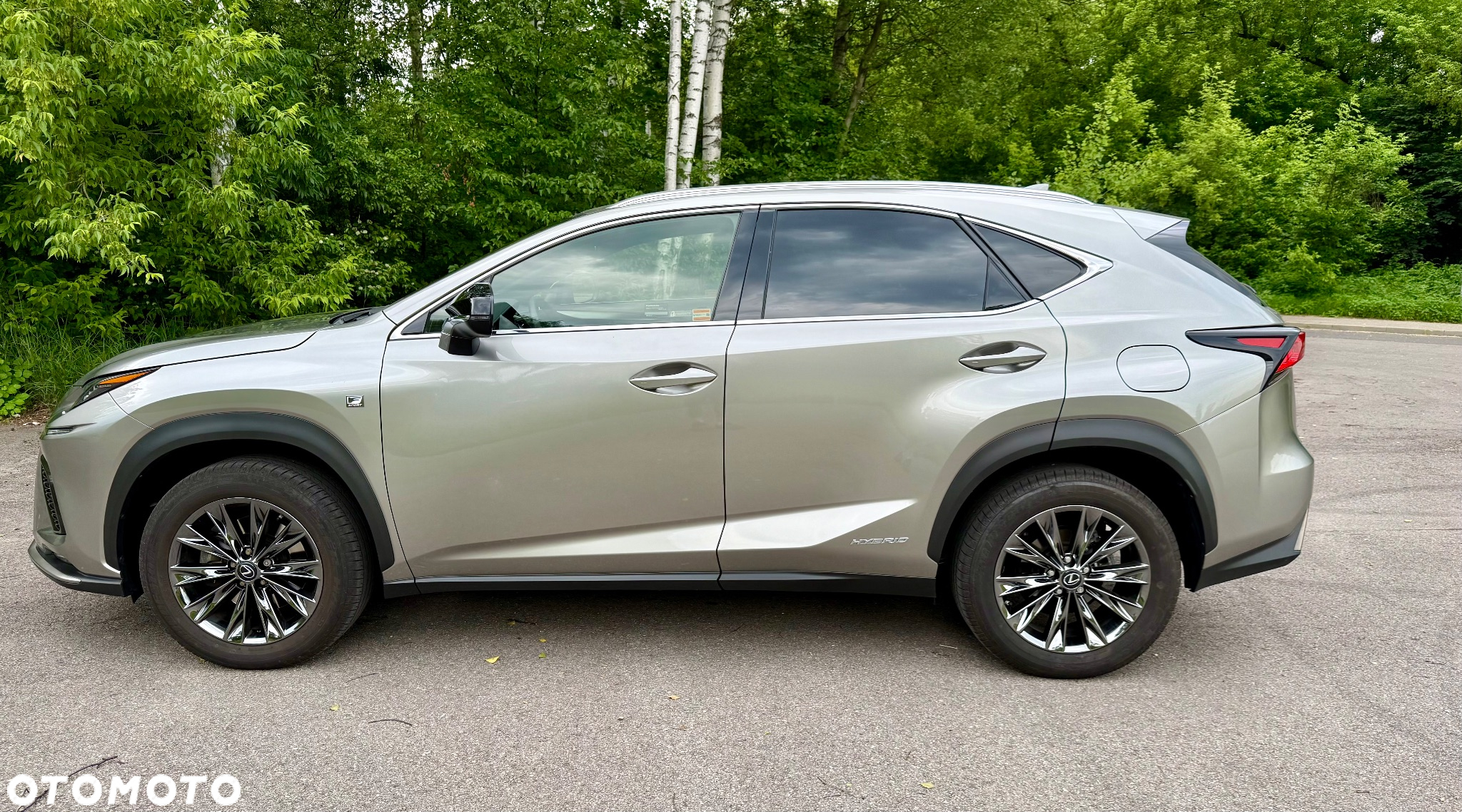 Lexus NX 350h F Sport AWD - 6