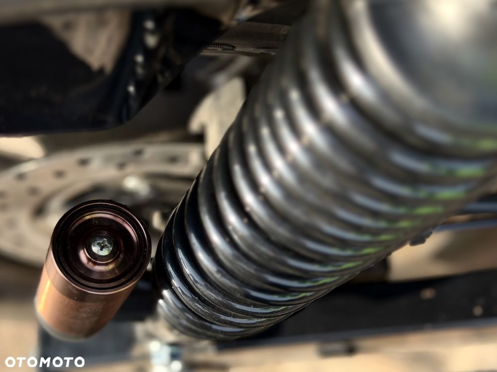 UM Renegade Freedom - 17