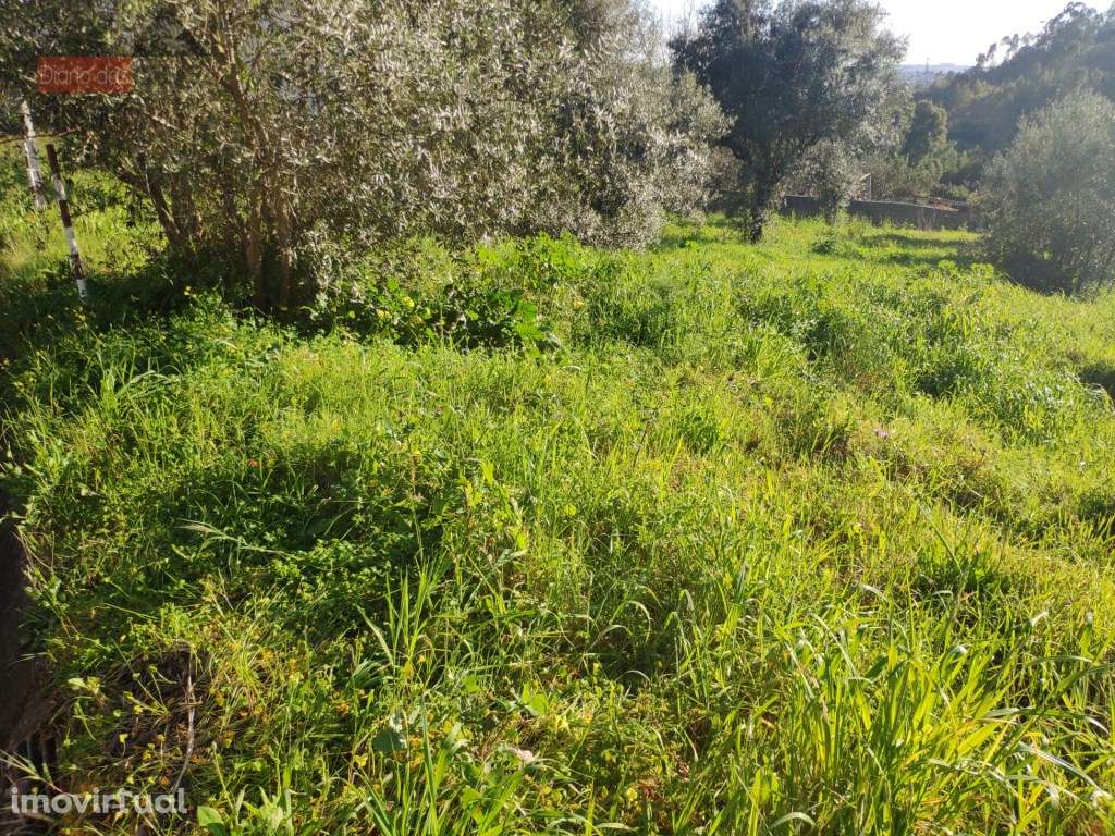 Terreno com viabilidade de construção Rocha Nova - Grande imagem: 4/4