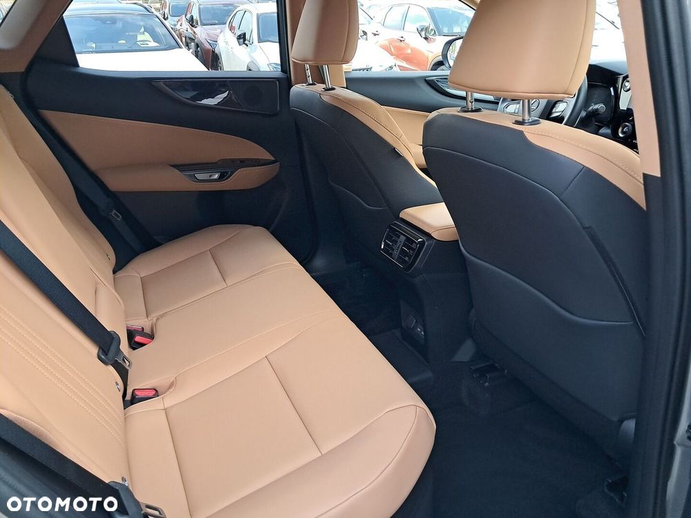 Lexus NX - 10