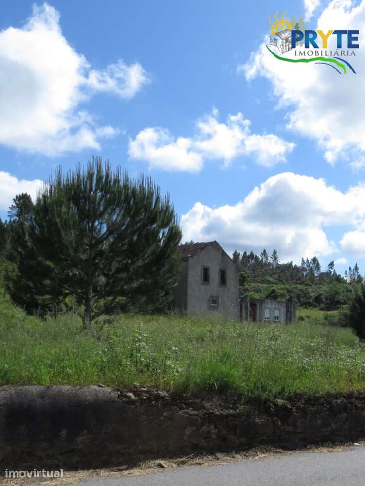Quinta com 3,6 hectares na Sertã - Pinhal, Oliveiras e Bons Acessos. - Grande imagem: 2/25