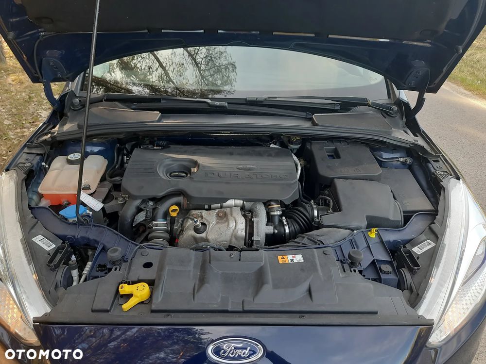 Ford Focus - 31