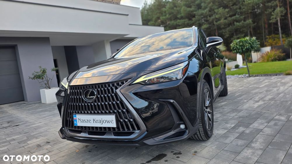 Lexus NX 350h Prestige 2WD - 17