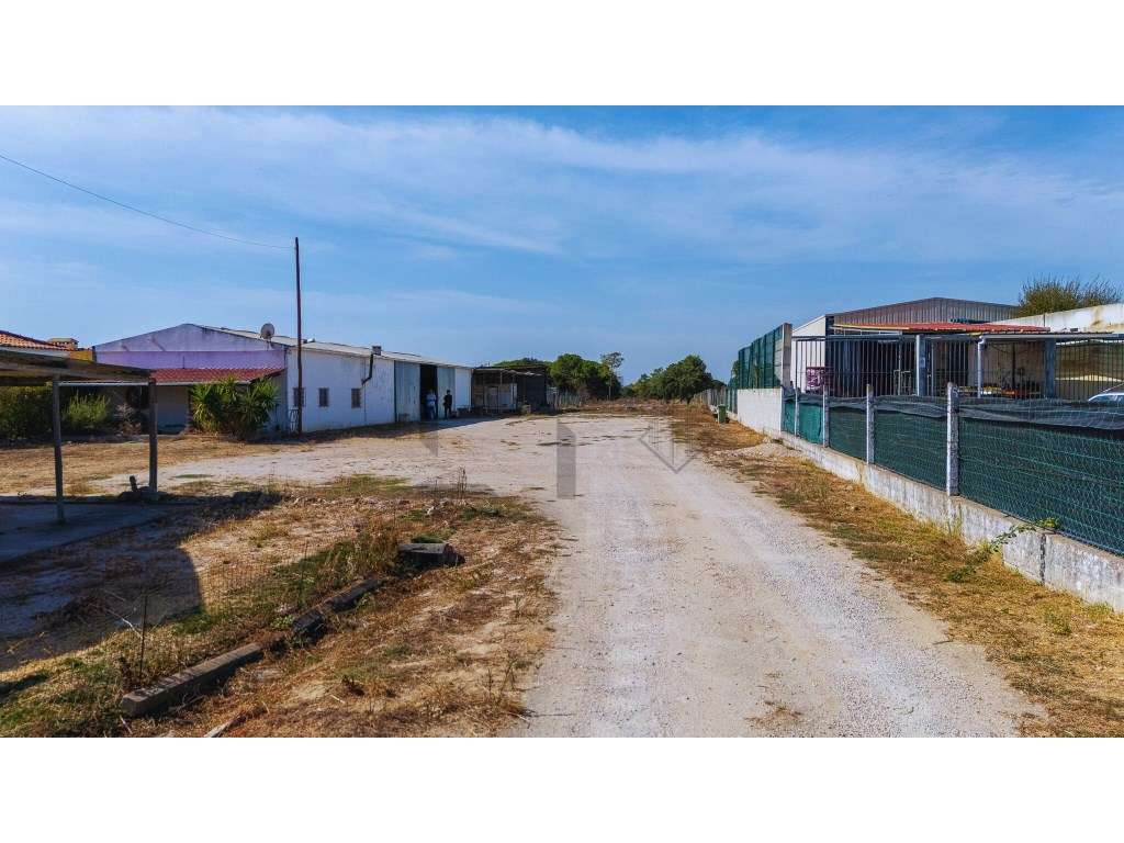 Terreno Misto com Viabilidade de Construção e Ótimos Acessos, para ... - Grande imagem: 2/11