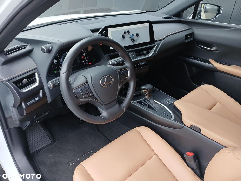 Lexus UX 250h GPF F Sport Design 2WD - 10