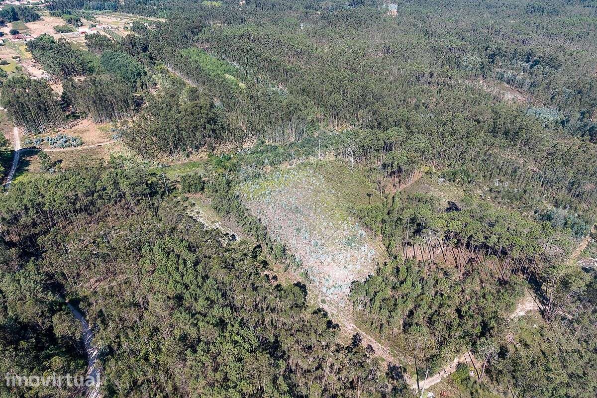 Terreno  para venda - Grande imagem: 2/12