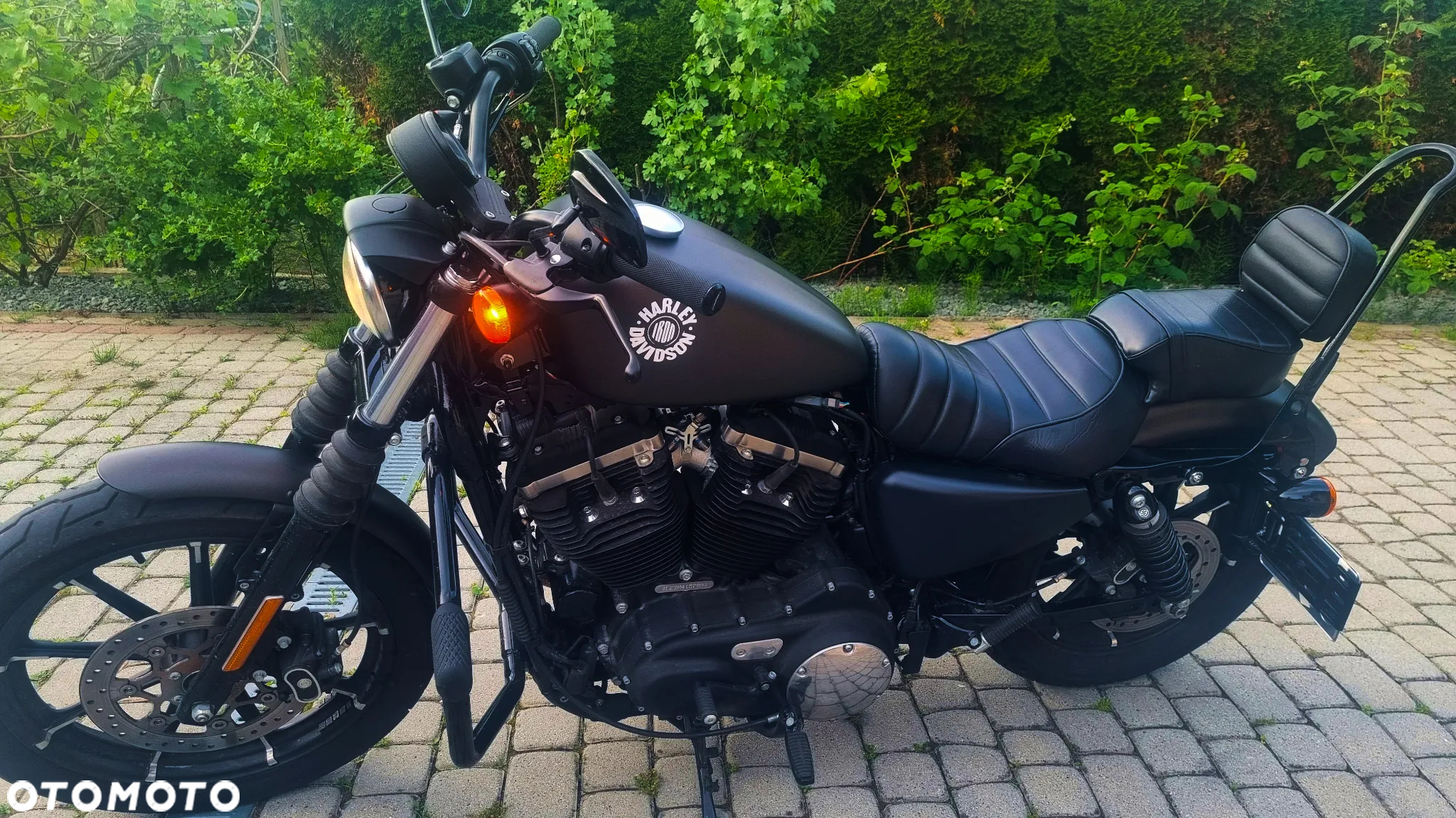 Harley-Davidson Sportster Iron 883 - 15