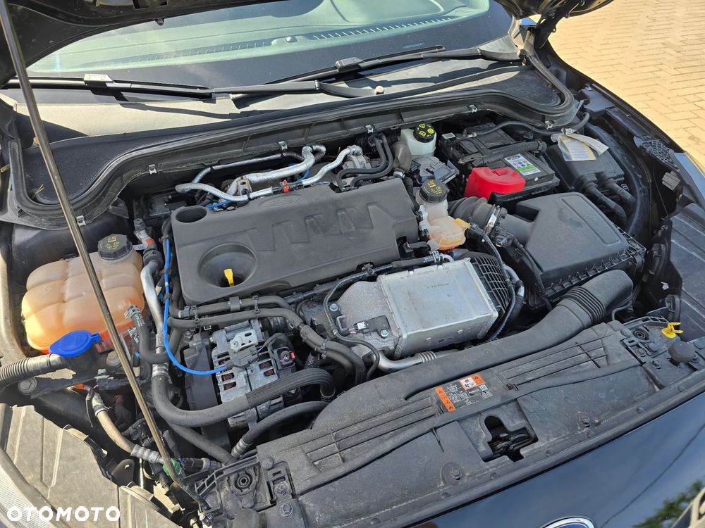 Ford Focus - 17
