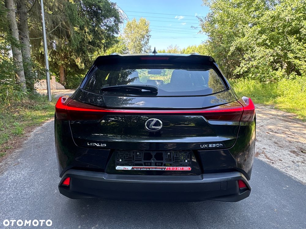 Lexus UX - 12