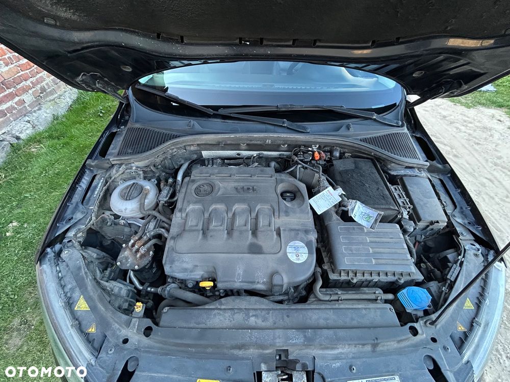 Skoda Octavia 1.6 TDI Ambition DSG - 22