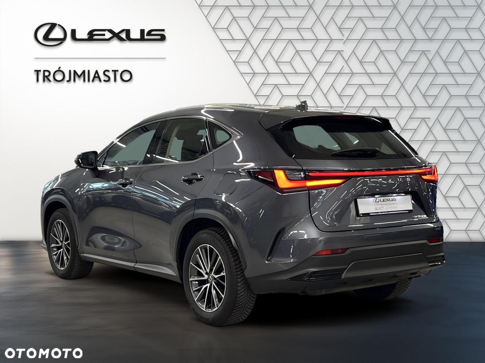 Lexus NX 350h Business AWD - 4