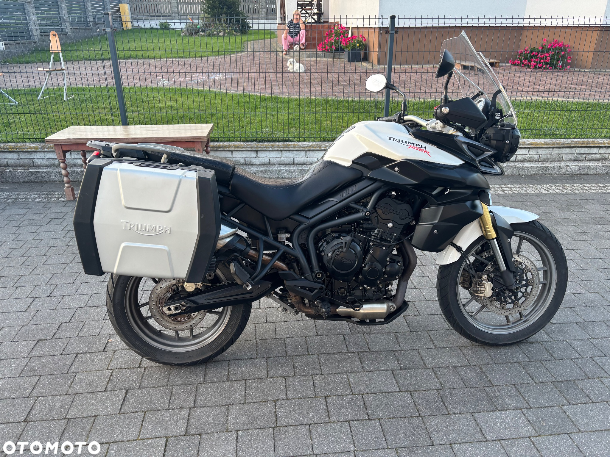 Triumph Tiger - 4