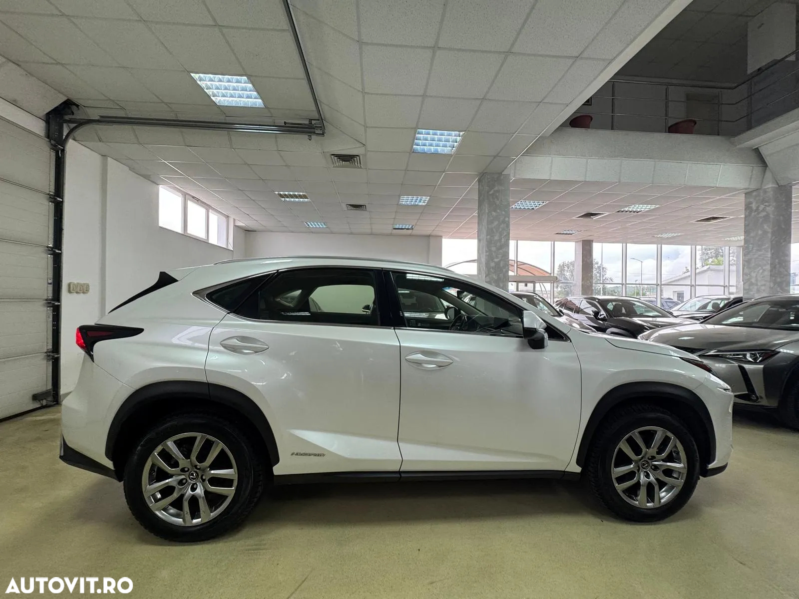 Lexus Seria NX 300h AWD Executive Plus - 6
