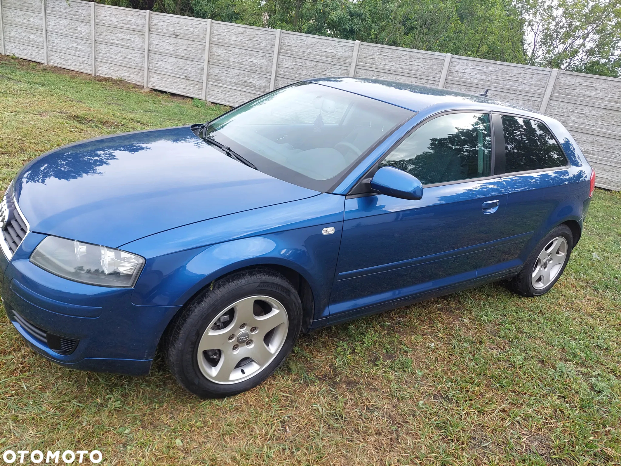 Audi A3 1.6 Ambiente - 19
