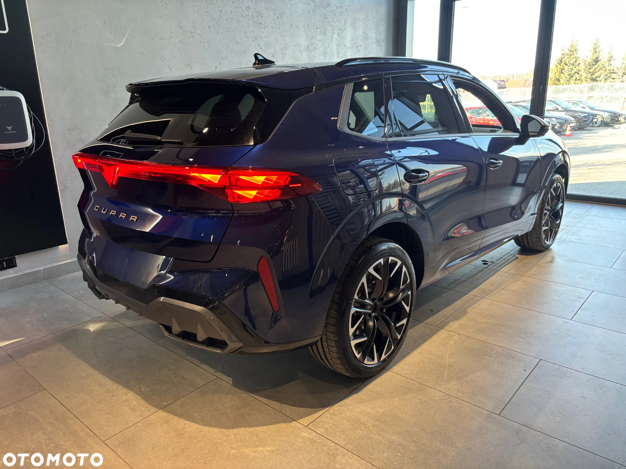 Cupra Terramar - 4