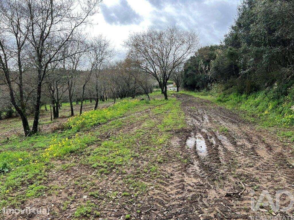 Terreno em Almargem do Bispo, Pêro Pinheiro e Montelavar - Grande imagem: 3/16