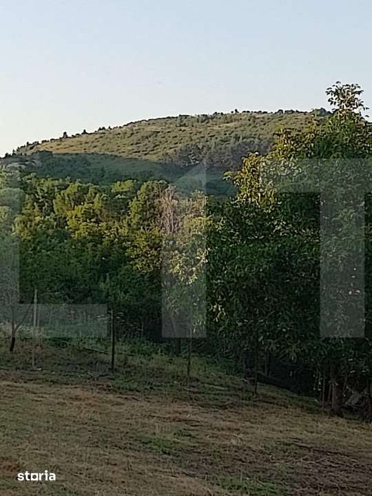 Oportunitate !Teren intravilan 800 mp cu autorizatie construire , Ciu - Imagine principală: 4/8