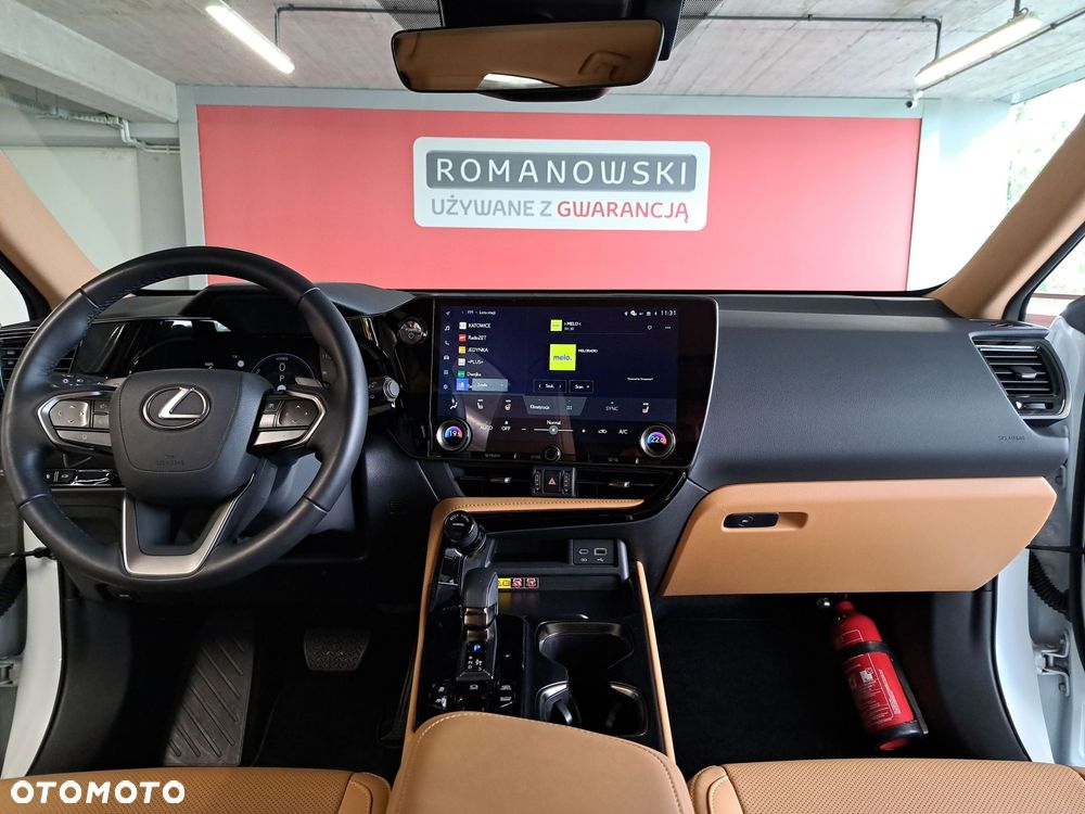 Lexus NX - 19