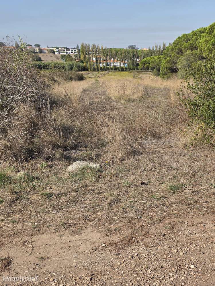 TERRENO RUSTICO ALFAQUIQUES - Grande imagem: 5/6