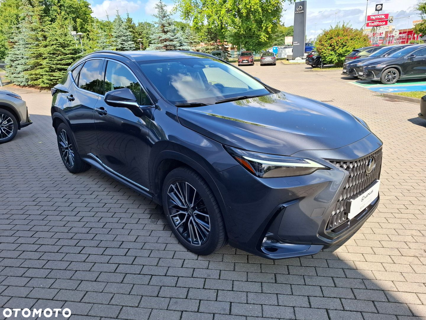 Lexus NX - 7