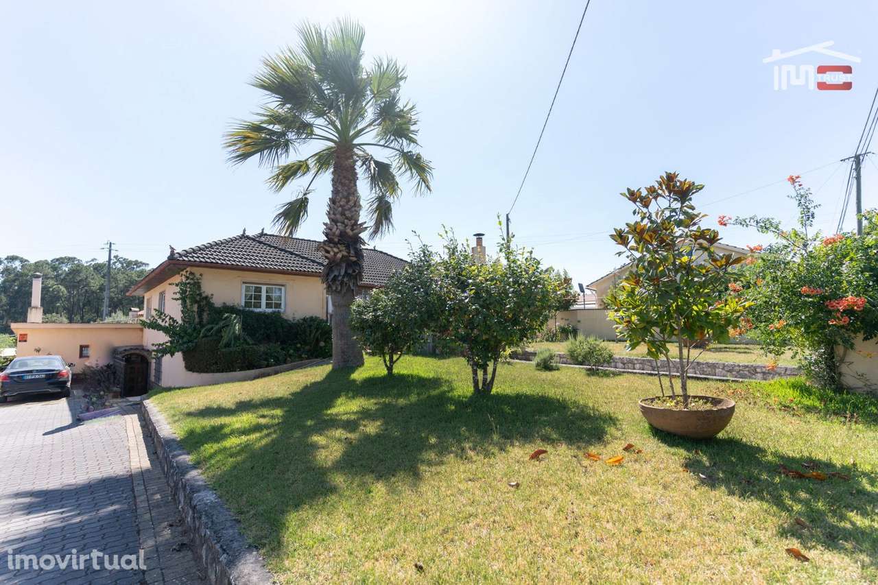 MORADIA T3 COM RES DO CHÃO E CAVE EM MOITA DO MARTINHO SÃO MAMEDE - Grande imagem: 2/40