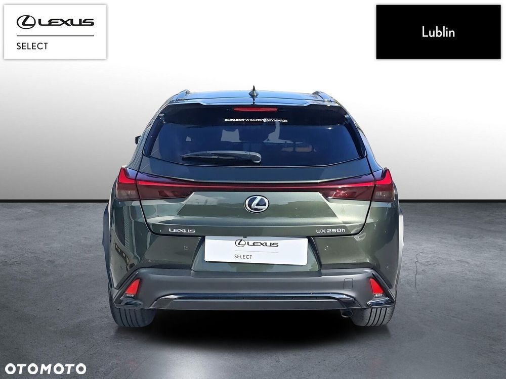 Lexus Ux 2023 photo 4