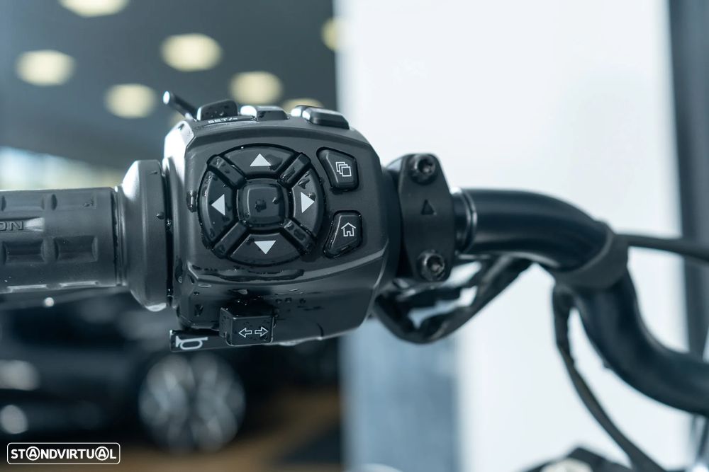 Harley-Davidson Sportster S - 10