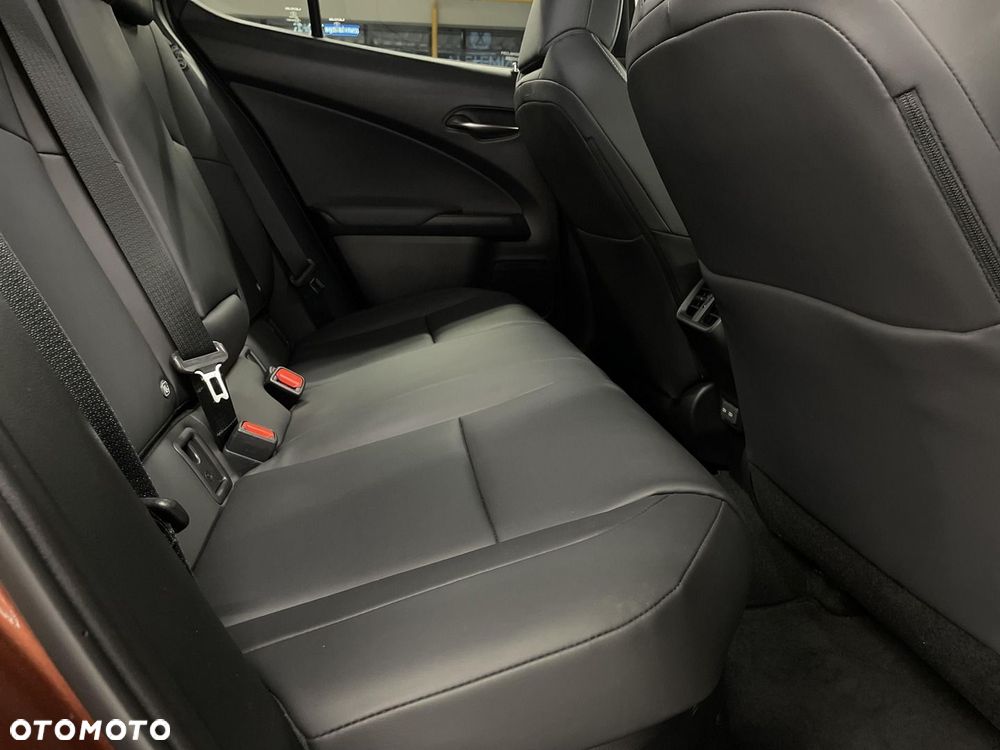 Lexus UX 300h F Sport Design - 15