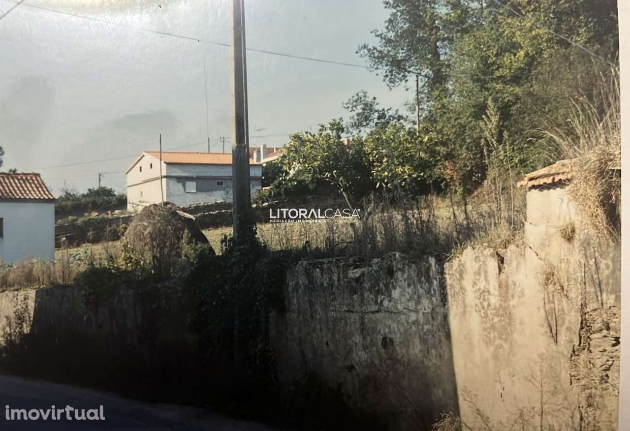 Terreno | Angeja | Albergaria-A-Velha - Grande imagem: 3/4