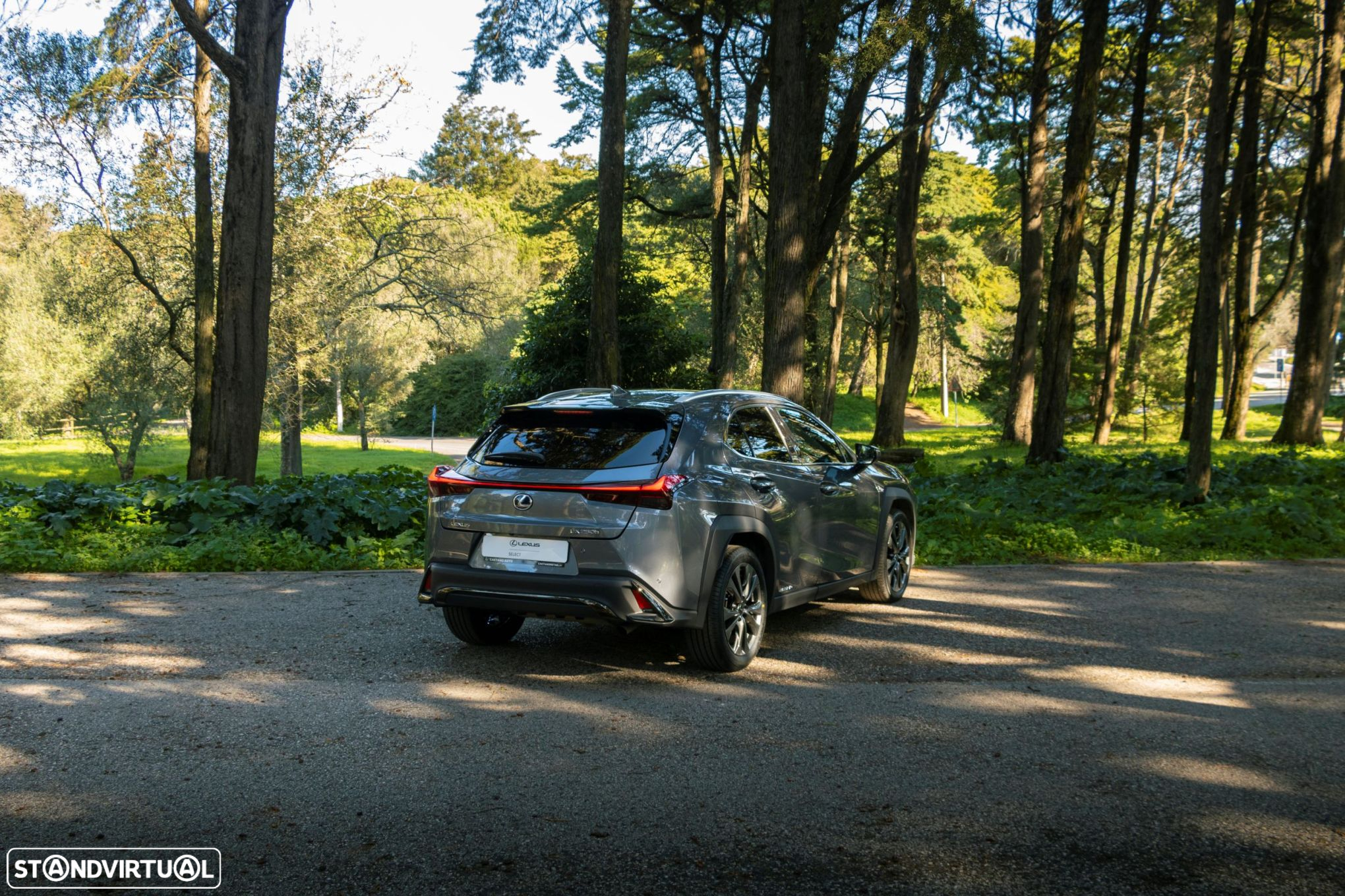 Lexus UX 250h F Sport - 6