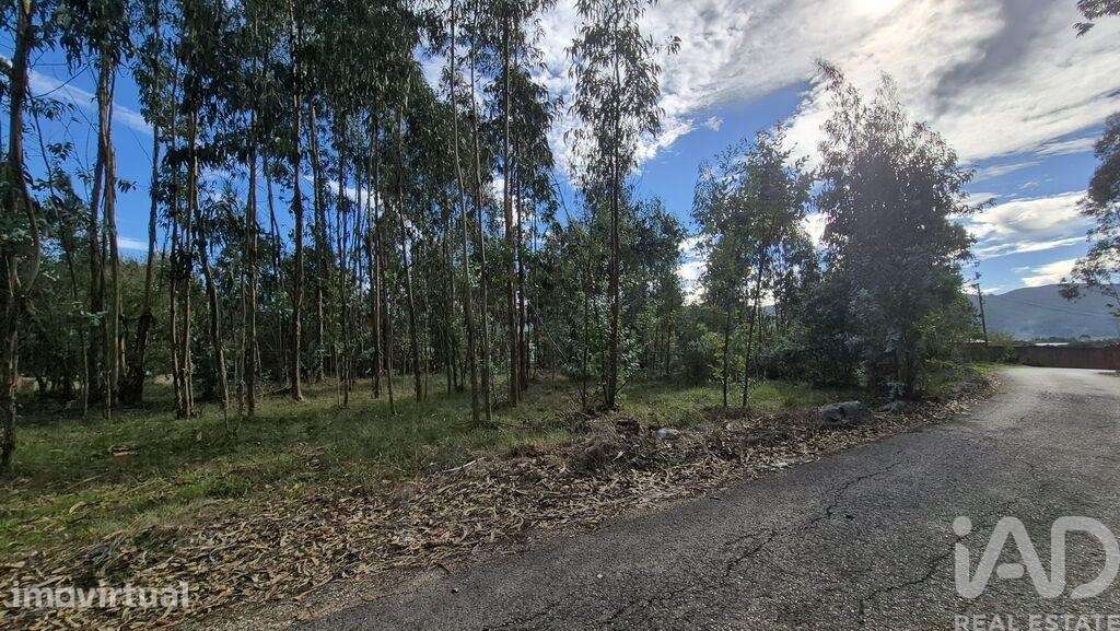 Terreno para construção em Pedreiras - Grande imagem: 2/7
