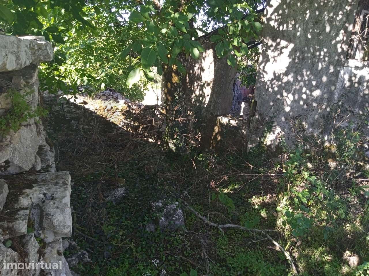 Terreno de 745m2 com Ruína em Pedra para Recuperar – Serra de Sicó, Co - Grande imagem: 3/11
