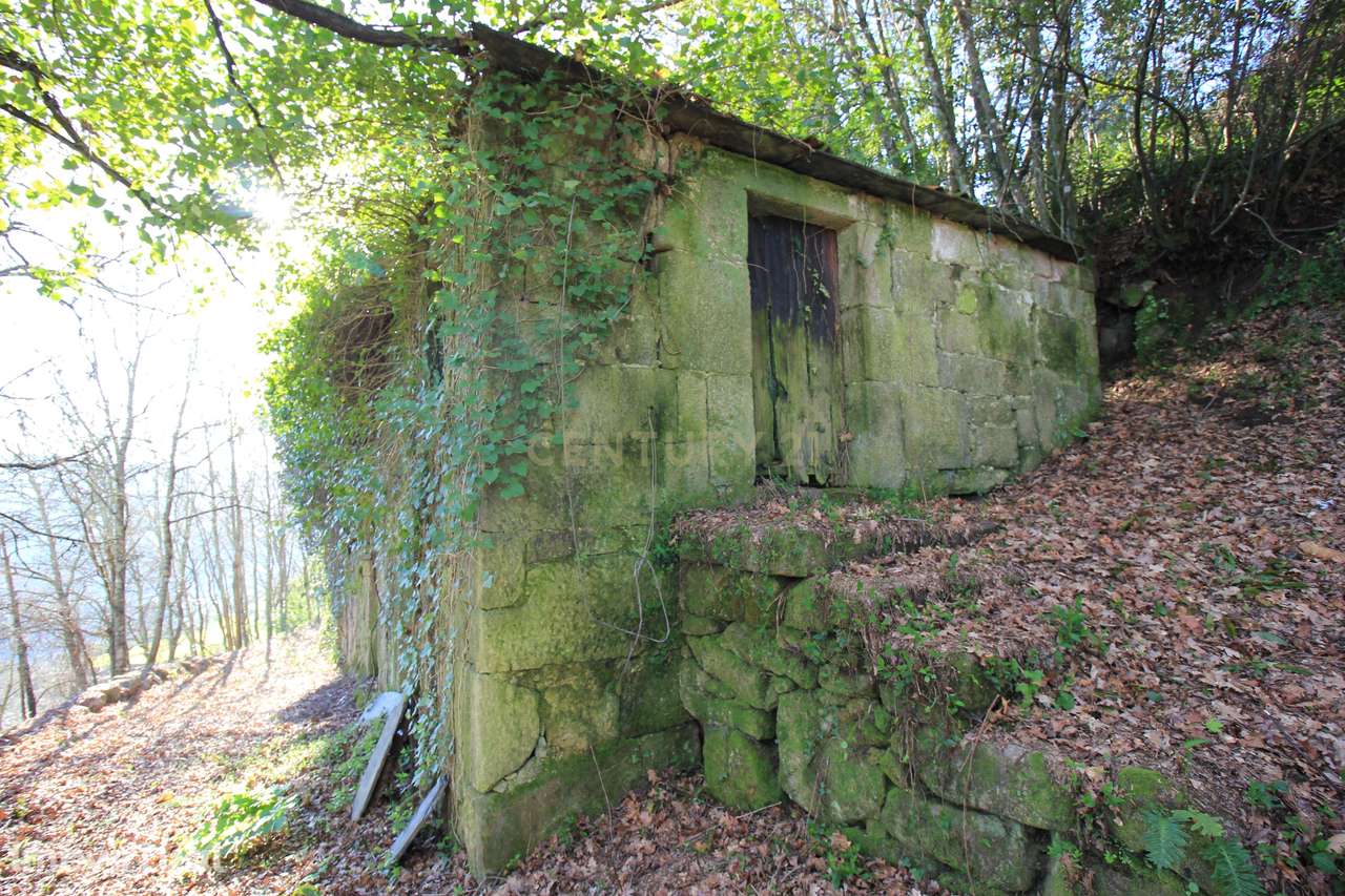 Quinta para restauro com vistas Rio Tâmega - Grande imagem: 5/28