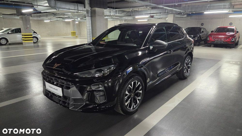 Cupra Terramar - 8