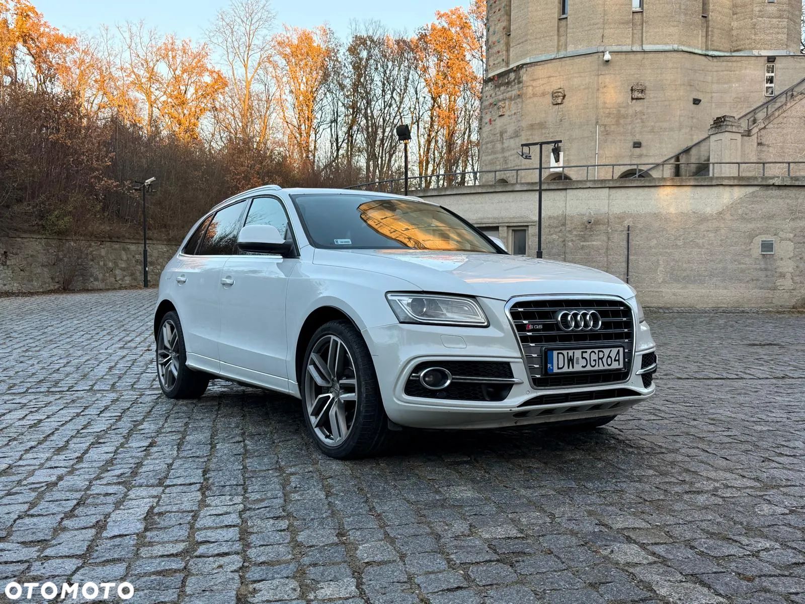 Audi SQ5 - 1