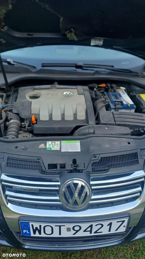 Volkswagen Golf - 8
