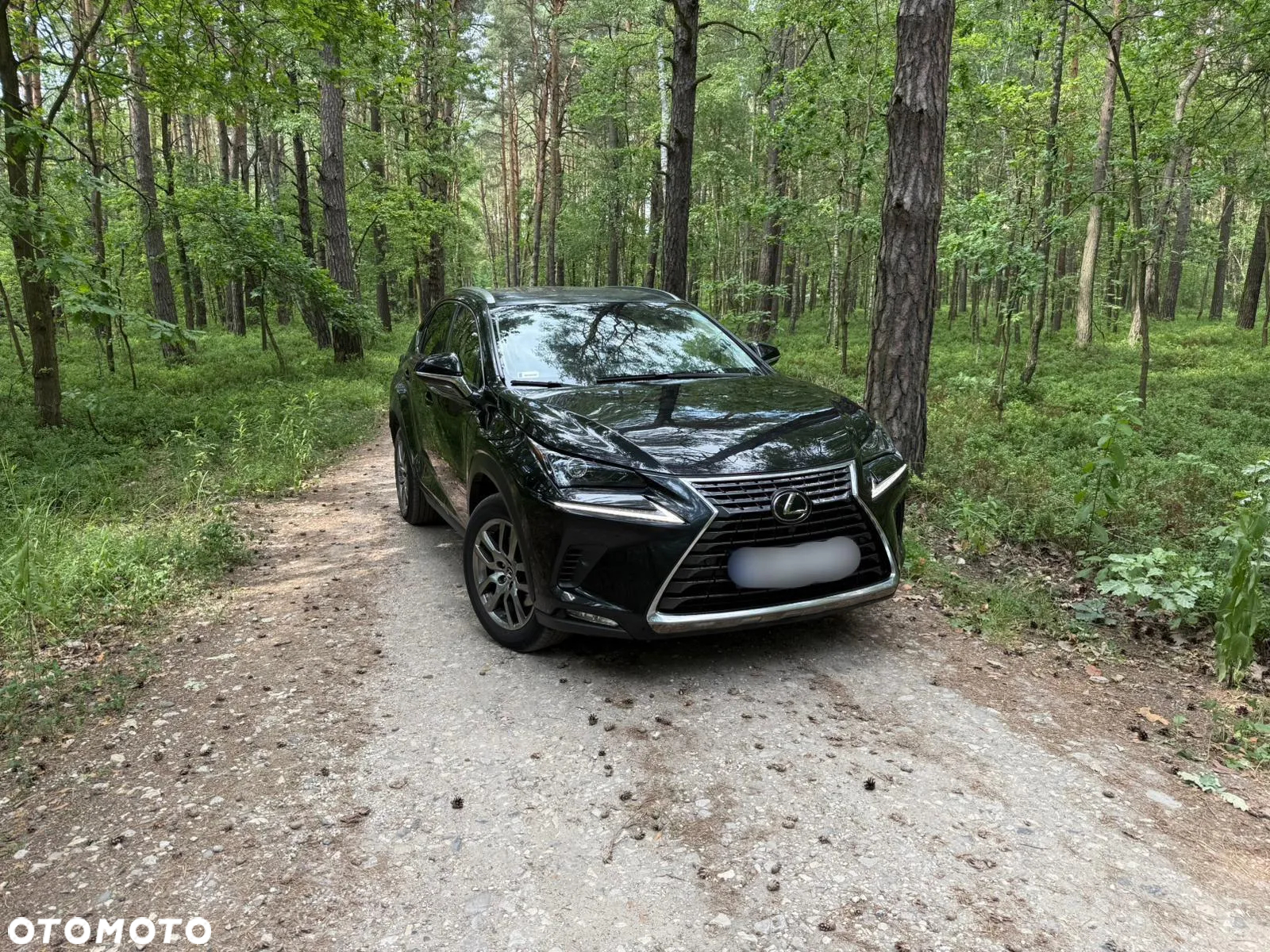 Lexus NX 300 Comfort AWD - 3