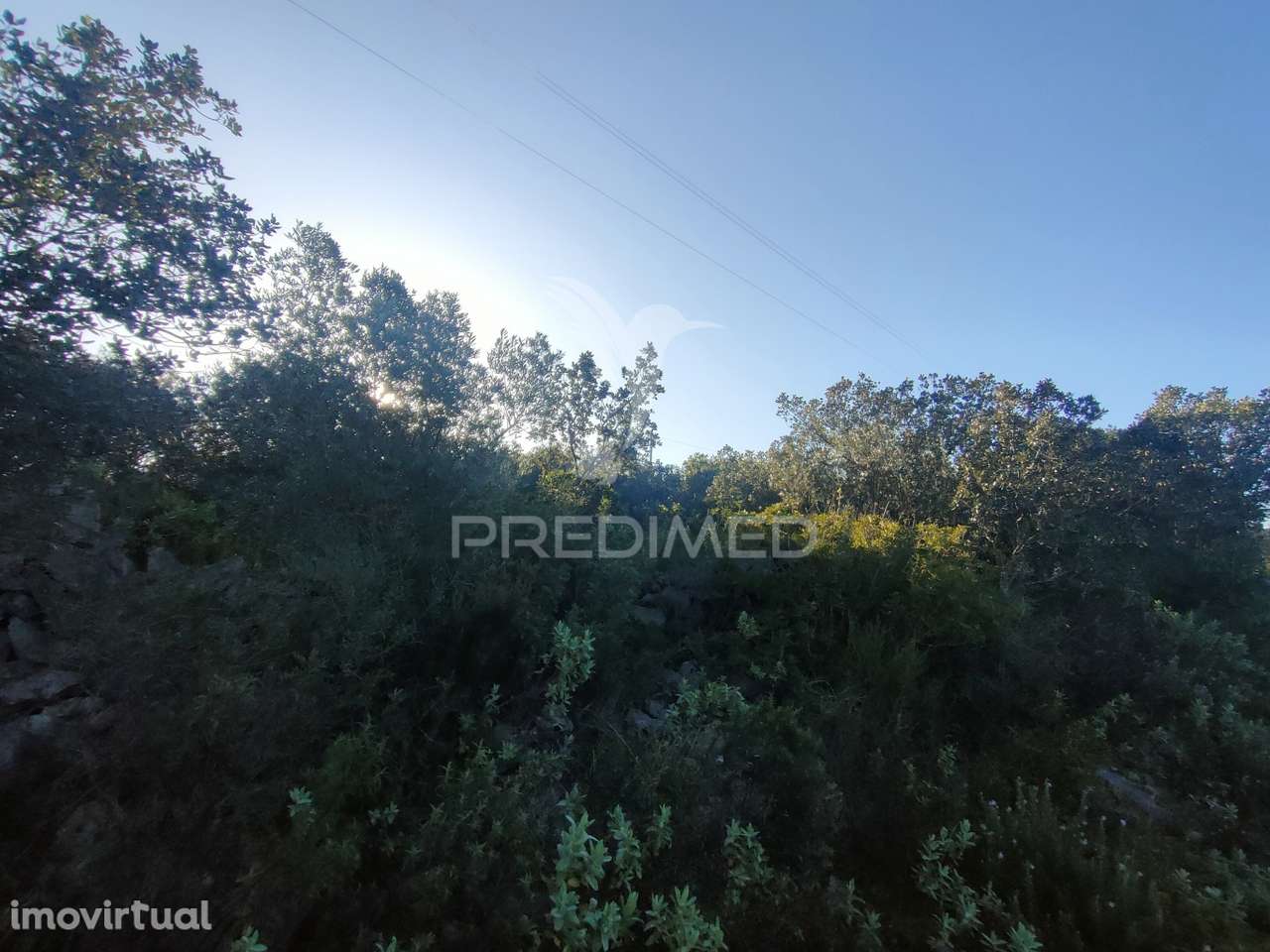 Terreno Rústico - Monsanto, Alcanena - Grande imagem: 4/14