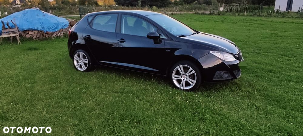 Seat Ibiza 2008 photo 3