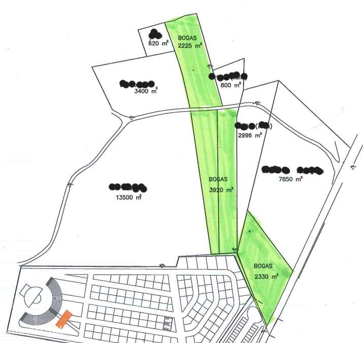 Terreno rústico junto à Feira de Carregal do Sal - Grande imagem: 3/9