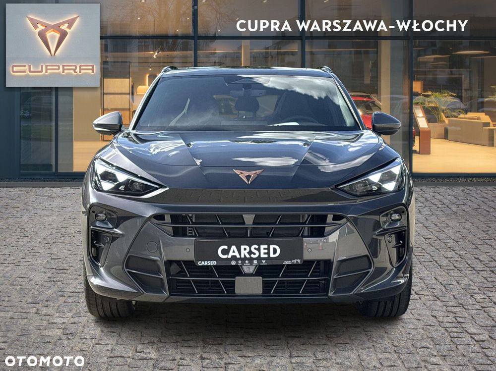 Cupra Terramar - 9