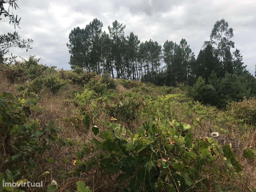 Terreno para Construção, Almalaguês, Coimbra - Grande imagem: 2/4