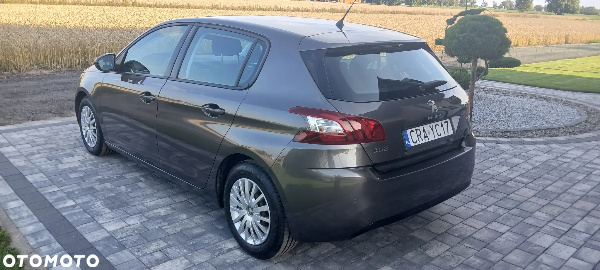 Peugeot 308 1.6 THP Active - 7