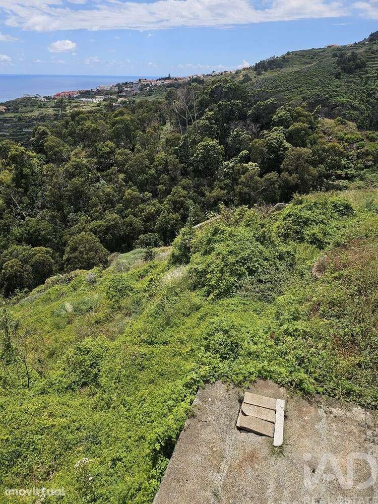 Terreno em Gaula de 3370,00 m2 - Grande imagem: 5/9