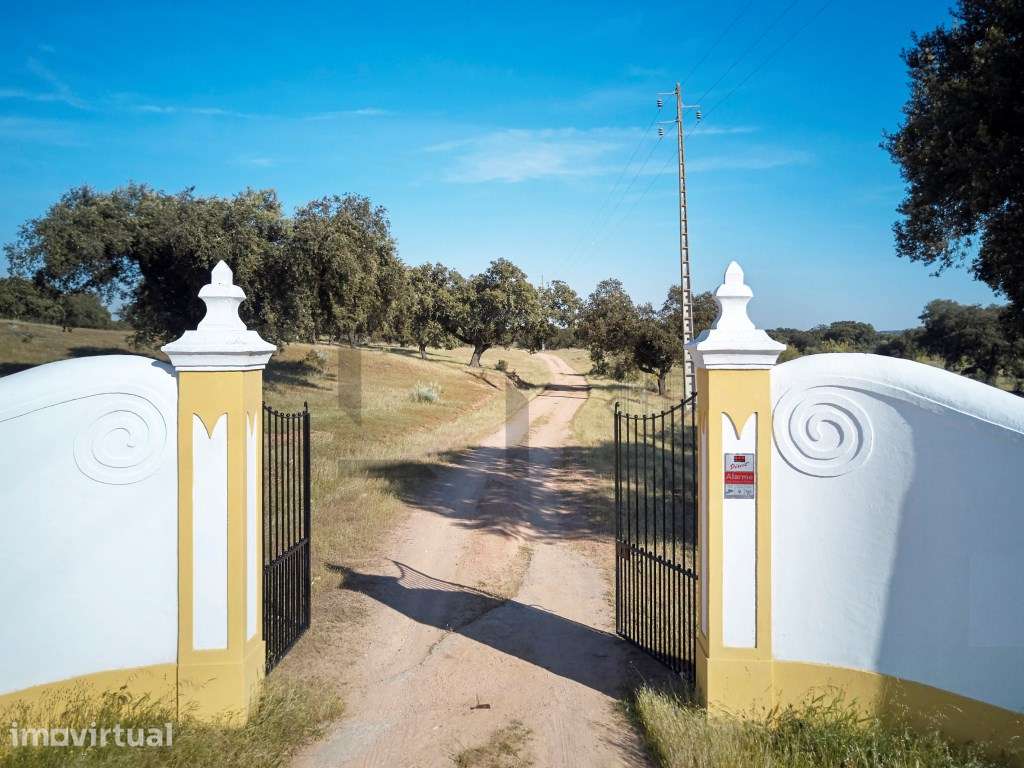 Herdade de Luxo com Piscina para Venda em Monforte, Portalegre - Grande imagem: 2/60
